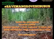LBH RAKHA Ungkap Pembalakan Mangrove Ilegal di Sebubus Paloh – Desak Penindakan Hukum Tanpa Kompromi